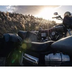 Mustang Seats Seats & Sissy Bars Mustang One-Piece Squareback Seat For Harley 14 Mustang Seats Seats & Sissy Bars Mustang One-Piece Squareback Seat For Harley -Motorcycle Seats Sales mustang one piece squareback seat for harley dyna20062017 3