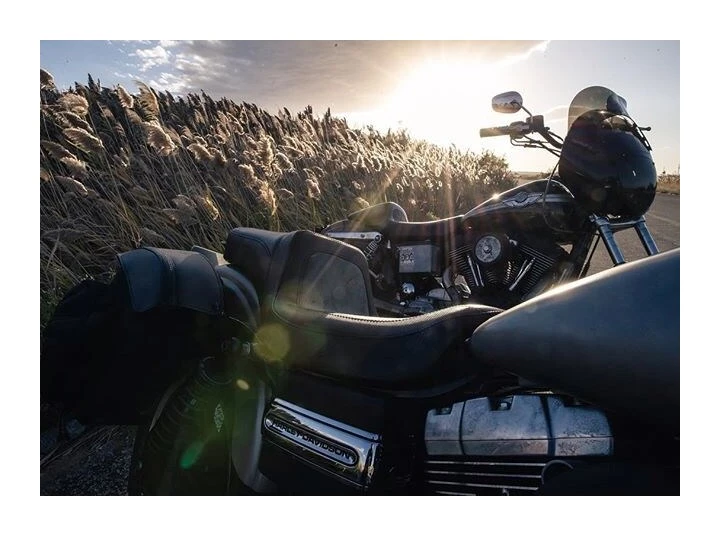 Mustang Seats Seats & Sissy Bars Mustang One-Piece Squareback Seat For Harley 8 Mustang Seats Seats & Sissy Bars Mustang One-Piece Squareback Seat For Harley - Image 6