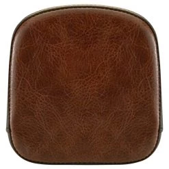 Seat Accessories Saddlemen Renegade Lariat Sissy Bar Backrest Pad